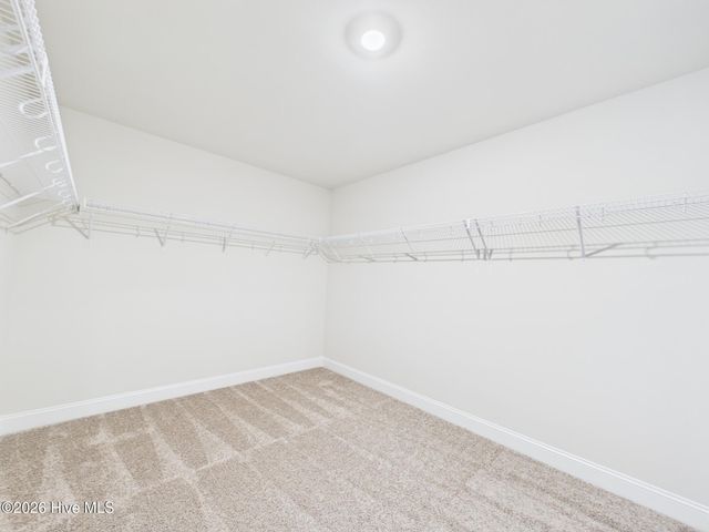 110 Symmetry Loo Loop, Youngsville, NC 27596