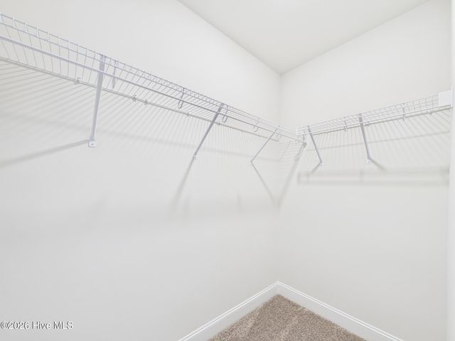 110 Symmetry Loo Loop, Youngsville, NC 27596