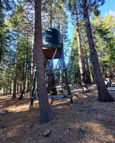 16277 Ophir Silver Rd, Nevada City, CA 95959