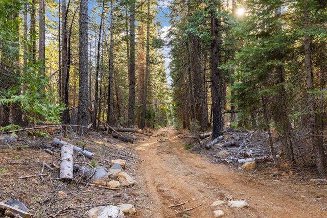 16277 Ophir Silver Rd, Nevada City, CA 95959