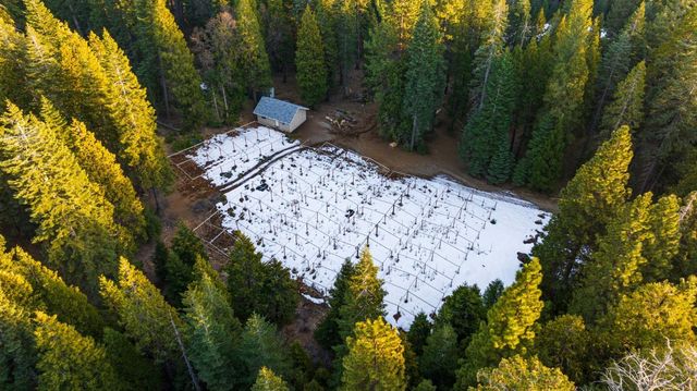 16277 Ophir Silver Rd, Nevada City, CA 95959