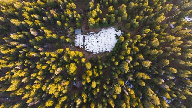 16277 Ophir Silver Rd, Nevada City, CA 95959