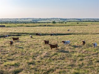 000 FM 51 Road, Sanger, TX 76226