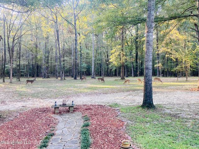 611 S Springlake Circle, Terry, MS 39170