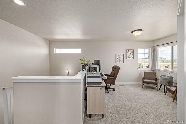 844 Forest Canyon Road, Severance, CO 80550