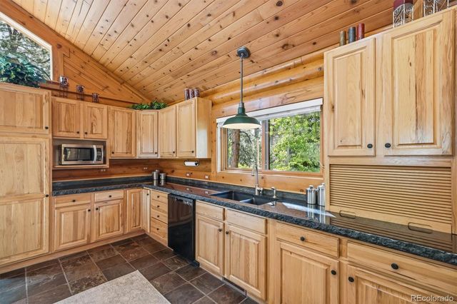 21466 Indian Springs Road, Conifer, CO 80433