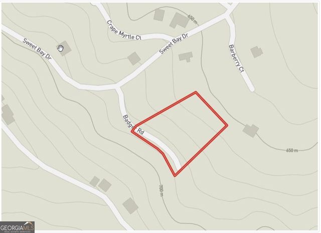 102 Badger Road, Blairsville, GA 30512