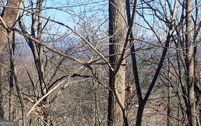 102 Badger Road, Blairsville, GA 30512