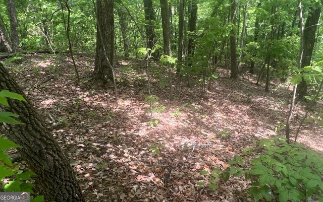 102 Badger Road, Blairsville, GA 30512