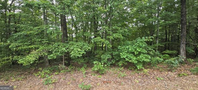 102 Badger Road, Blairsville, GA 30512