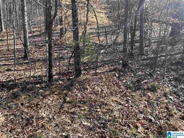 8511 SCENIC RIDGE DRIVE, Pinson, AL 35126