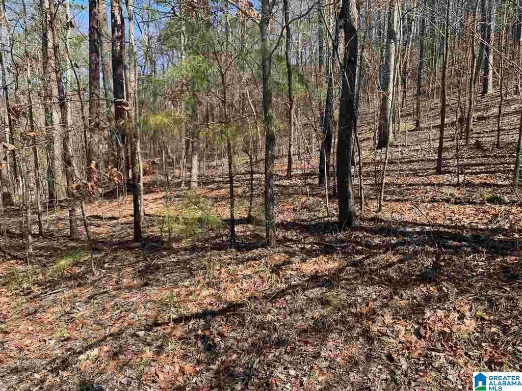 8511 SCENIC RIDGE DRIVE, Pinson, AL 35126