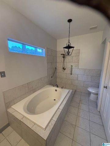 1817 STONE BROOK LANE, Birmingham, AL 35242