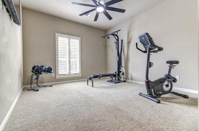 507 Rummel Ranch RUN, Cedar Park, TX 78613