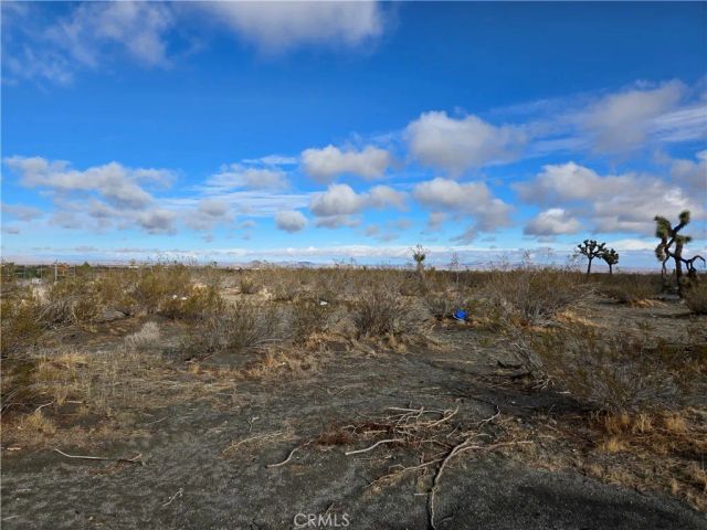 0 Palmdale Rd 3100-531-01, Pinon Hills, CA 92372