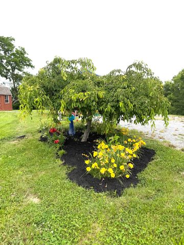 743 Keenon Road, Harrodsburg, KY 40330