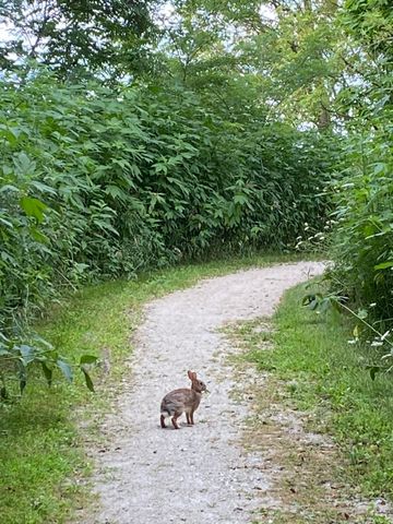1347 Wild Indigo Road, Grayslake, IL 60030