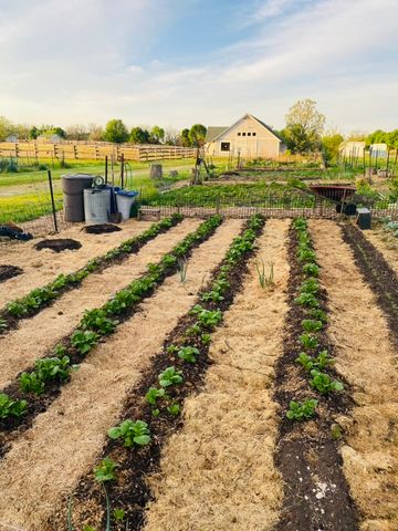 1347 Wild Indigo Road, Grayslake, IL 60030