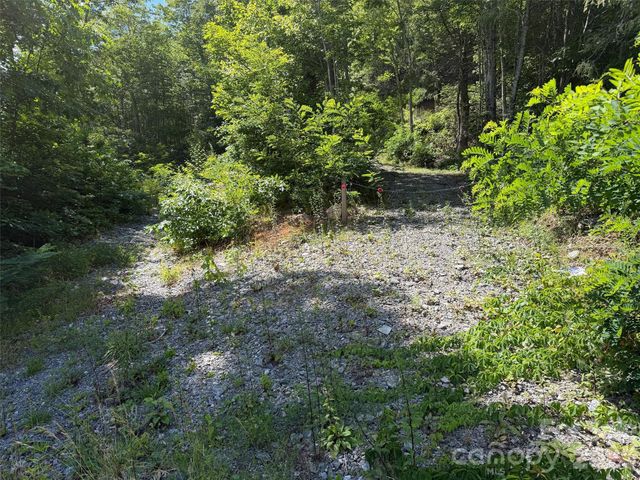 00 Rising Sun Road 338, Waynesville, NC 28786