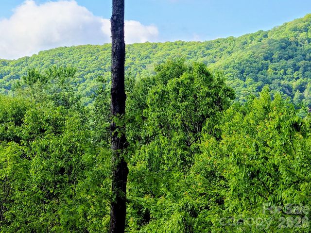 00 Rising Sun Road 338, Waynesville, NC 28786