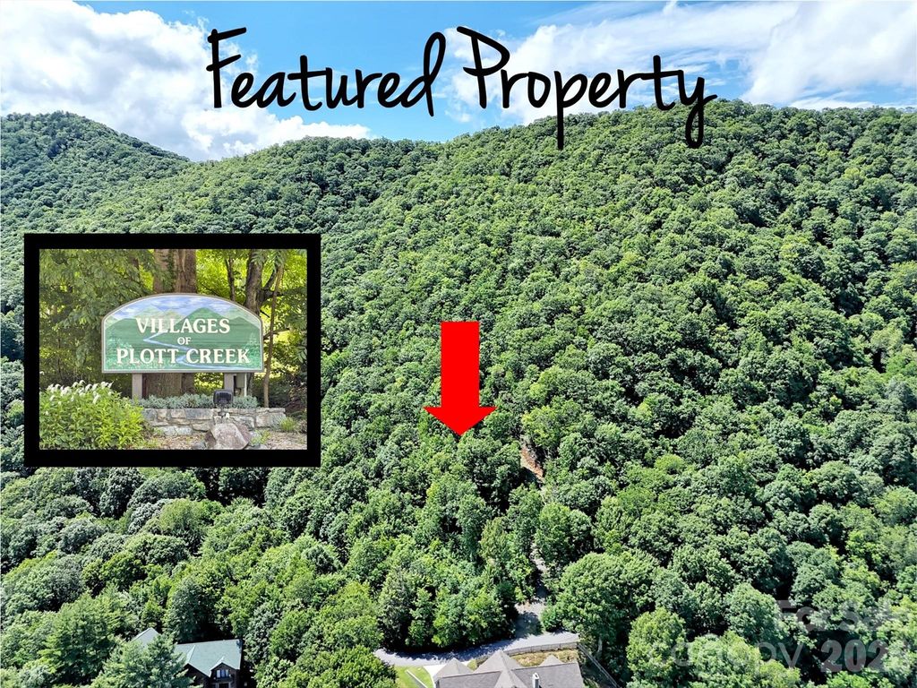 00 Rising Sun Road 338, Waynesville, NC 28786