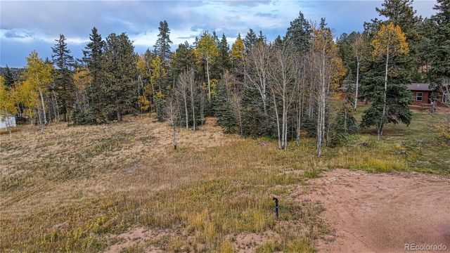166 Denwood Drive, Florissant, CO 80816