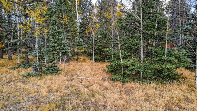 166 Denwood Drive, Florissant, CO 80816