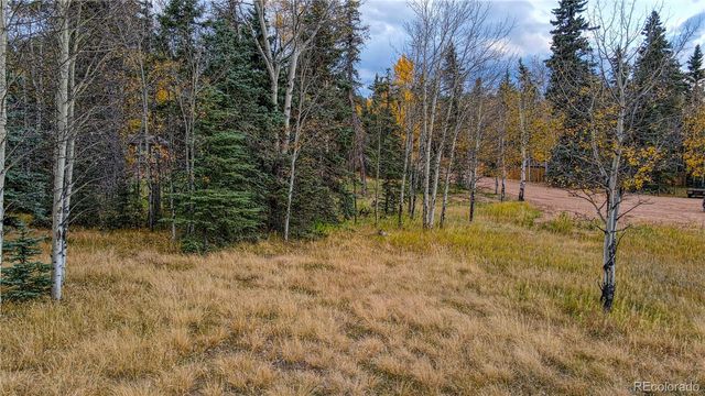 166 Denwood Drive, Florissant, CO 80816