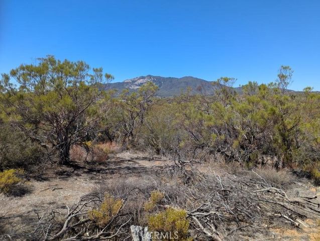 0 Pony Trail, Anza, CA 92539