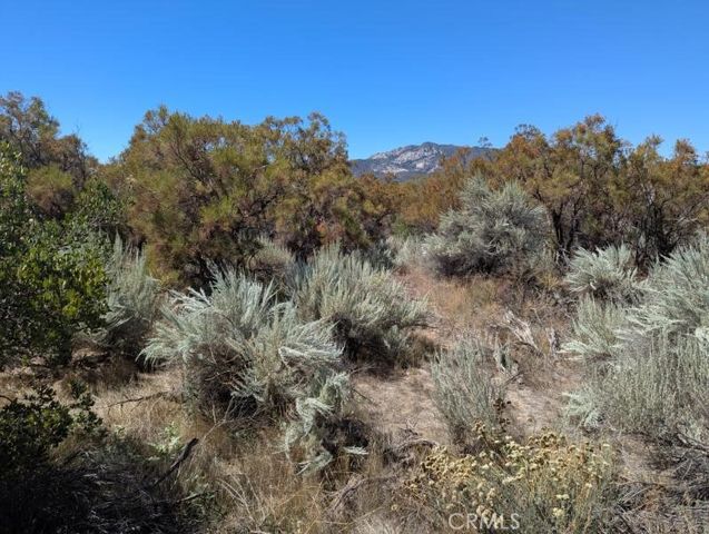 0 Pony Trail, Anza, CA 92539