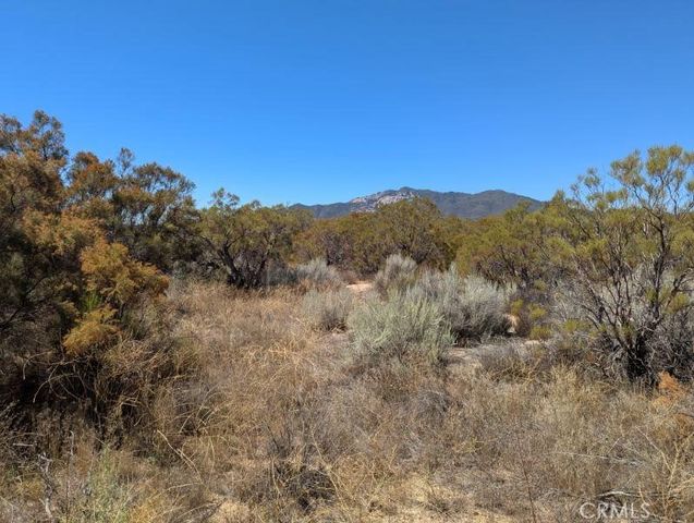 0 Pony Trail, Anza, CA 92539