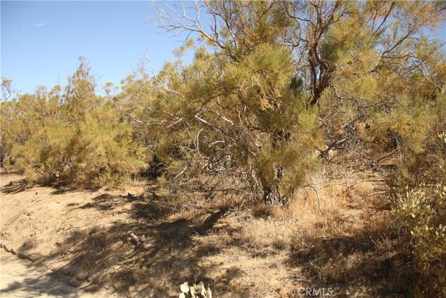 0 Pony Trail, Anza, CA 92539