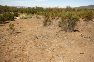 0 Pony Trail, Anza, CA 92539