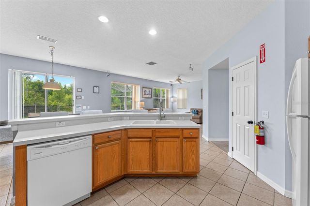 213 WILLOW VIEW DRIVE, Davenport, FL 33896