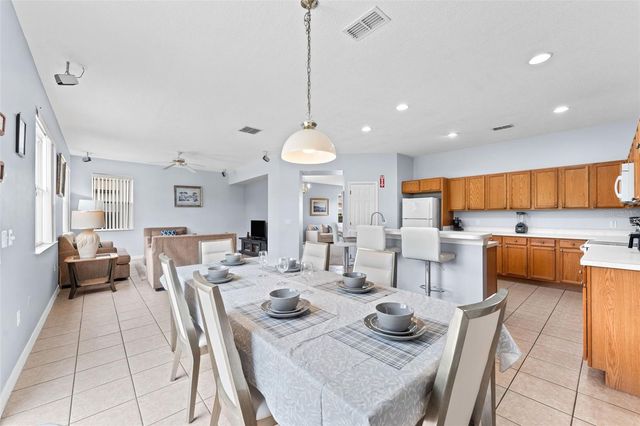 213 WILLOW VIEW DRIVE, Davenport, FL 33896