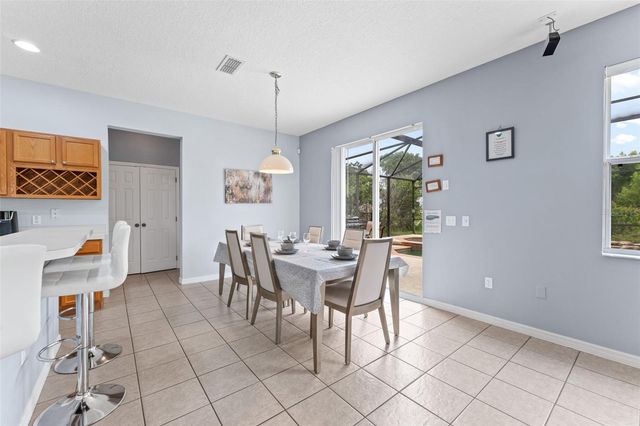 213 WILLOW VIEW DRIVE, Davenport, FL 33896