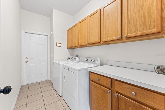 213 WILLOW VIEW DRIVE, Davenport, FL 33896