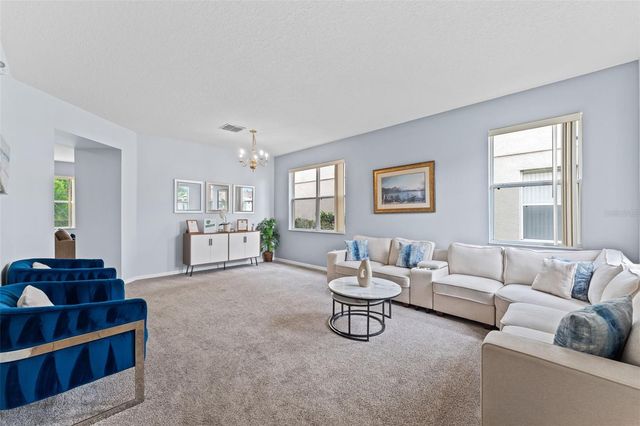 213 WILLOW VIEW DRIVE, Davenport, FL 33896