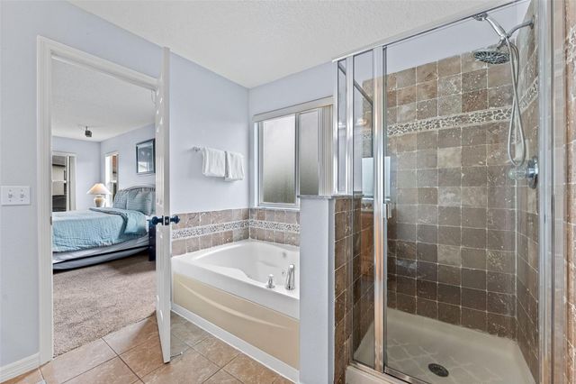 213 WILLOW VIEW DRIVE, Davenport, FL 33896