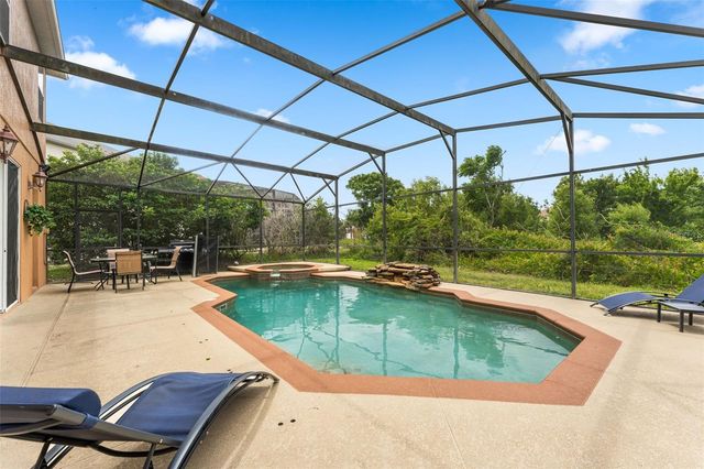 213 WILLOW VIEW DRIVE, Davenport, FL 33896