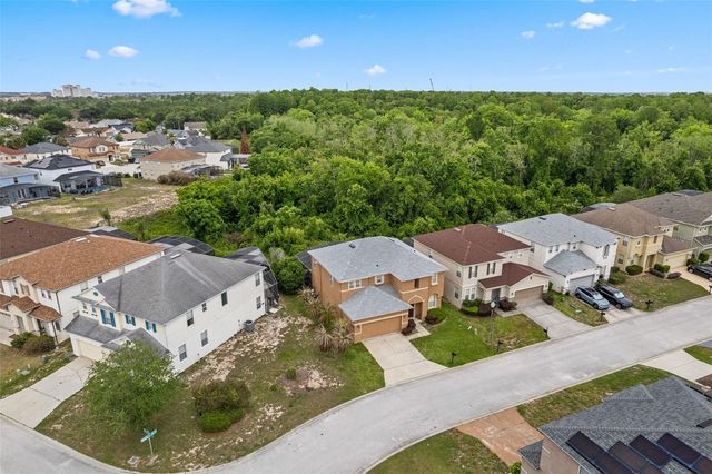 213 WILLOW VIEW DRIVE, Davenport, FL 33896