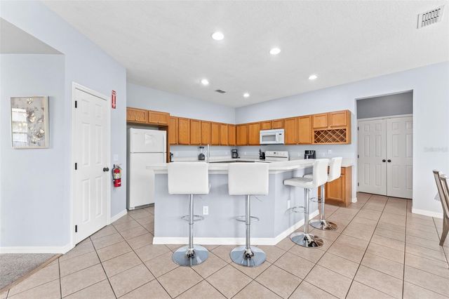 213 WILLOW VIEW DRIVE, Davenport, FL 33896