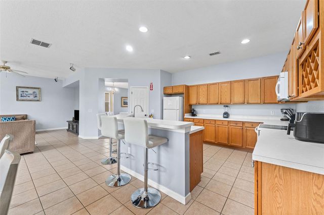 213 WILLOW VIEW DRIVE, Davenport, FL 33896