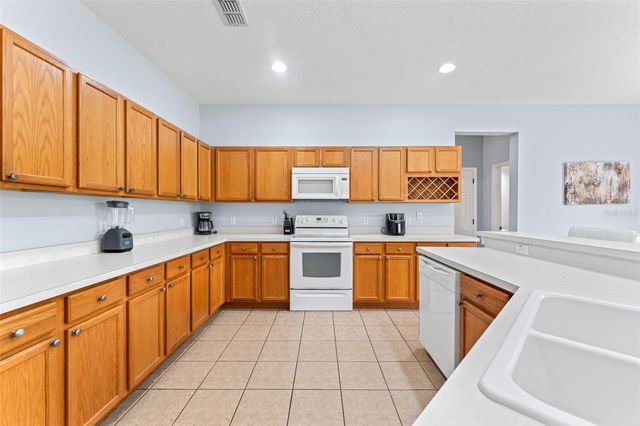 213 WILLOW VIEW DRIVE, Davenport, FL 33896