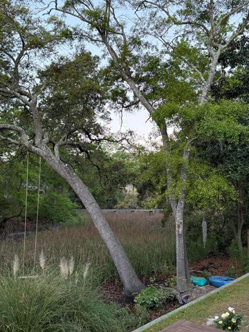 1291 S Barksdale Road, Mount Pleasant, SC 29464