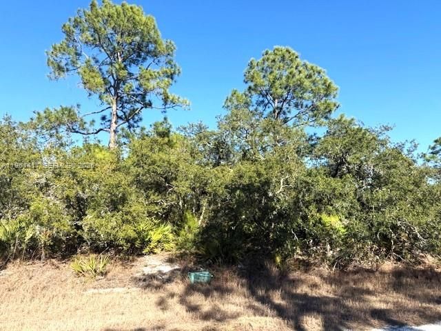 3221 N Dahlia, Other City - In The State Of Florida, FL 33852