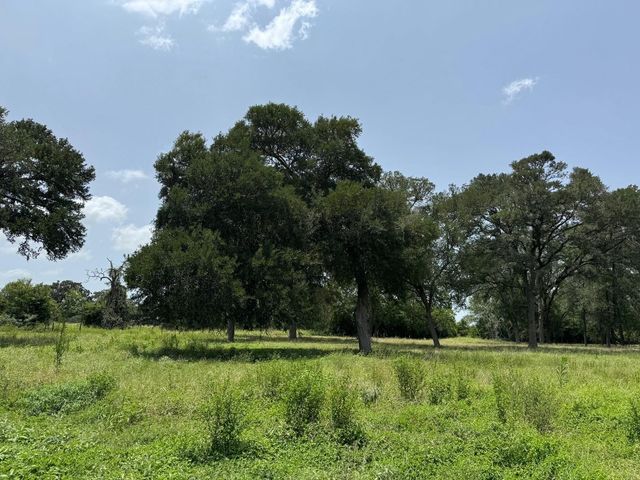 220 Bybee Road, Round Top, TX 78954