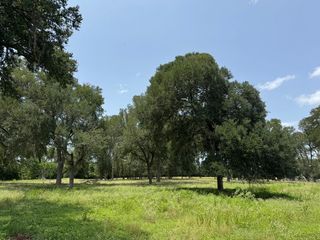 220 Bybee Road, Round Top, TX 78954