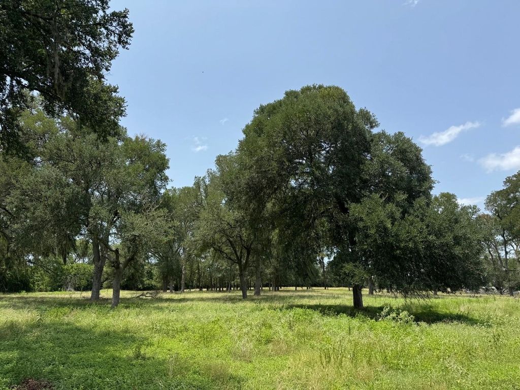 220 Bybee Road, Round Top, TX 78954