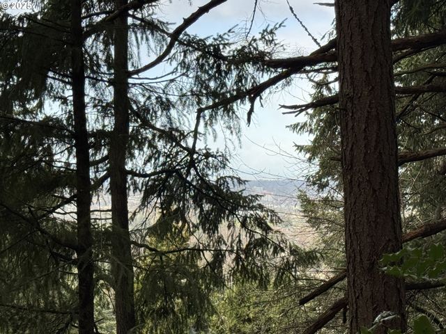 3605 EMERALD St, Eugene, OR 97405